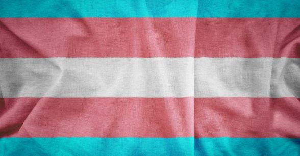Transgender flag pattern on the fabric texture