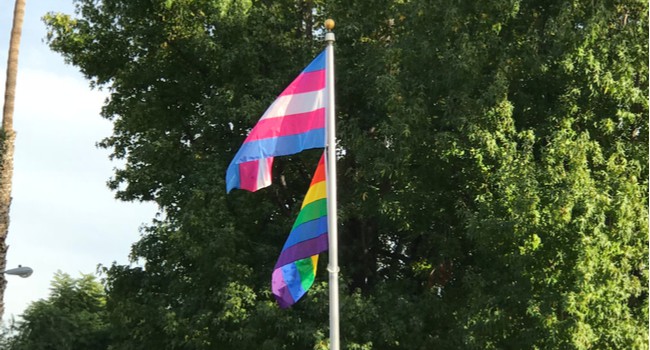 Trans pride flag and LGBTQ pride flag waving on a flagpole in front of trees