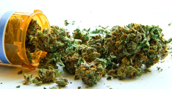 Photo of marijuana spilling out of a medicine container