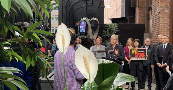 Anna speaks at 976 press conference