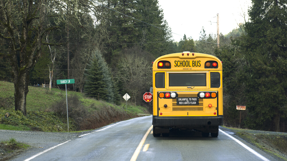 Photo of a school bus from the back driving down a road lined with trees.