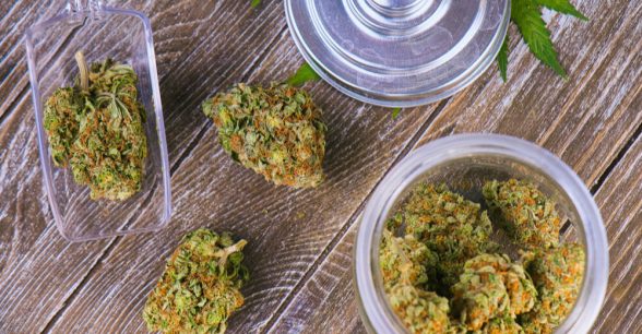 Cannabis in glass jars and spread out on a wooden table.
